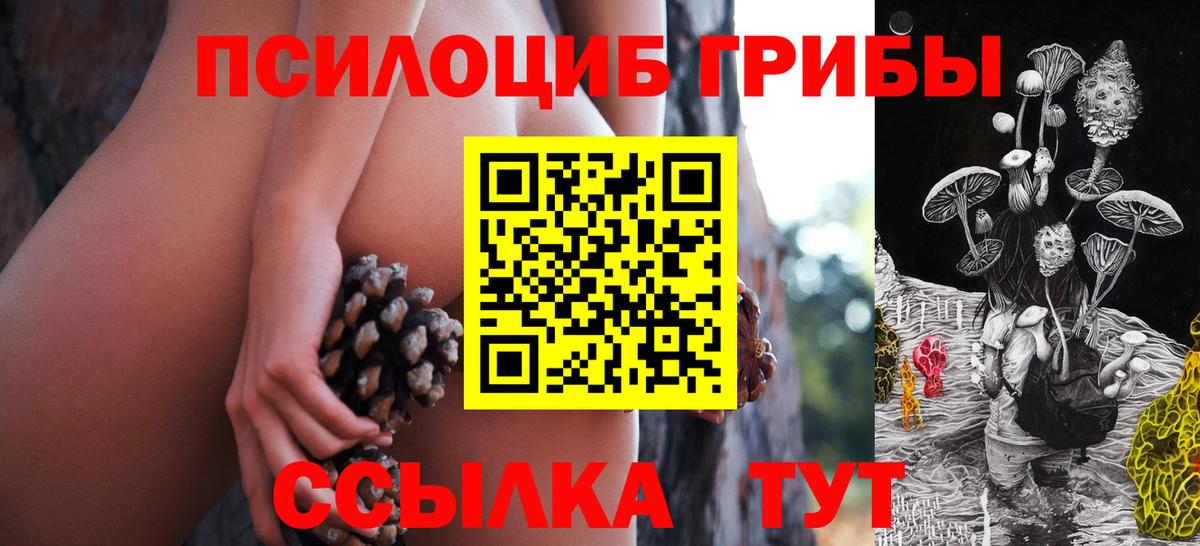 Галлюциногенные грибы мицелий Миасс