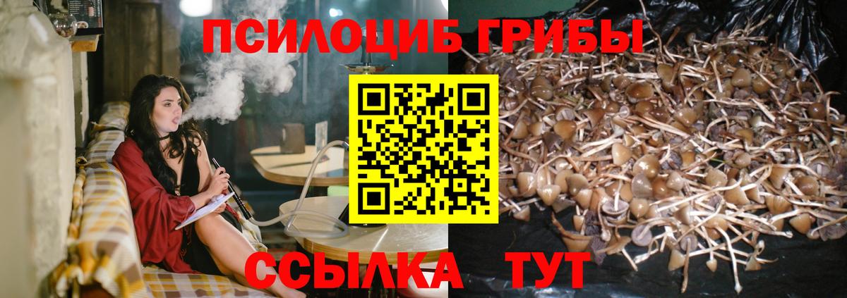 Галлюциногенные грибы GOLDEN TEACHER  Вход с VPN  Миасс 